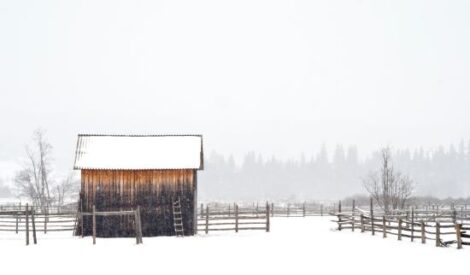 How to Prevent Wintertime Homesteading Equipment Theft Image